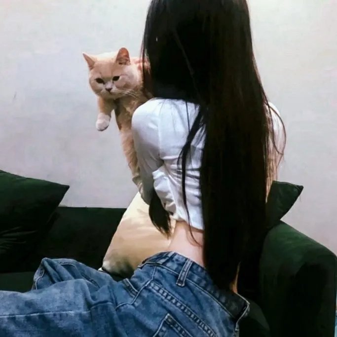 色衰应召男